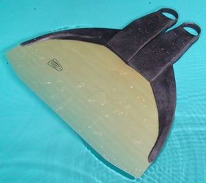 Leaderfins Flyer