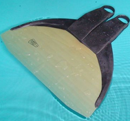 Leaderfins Flyer